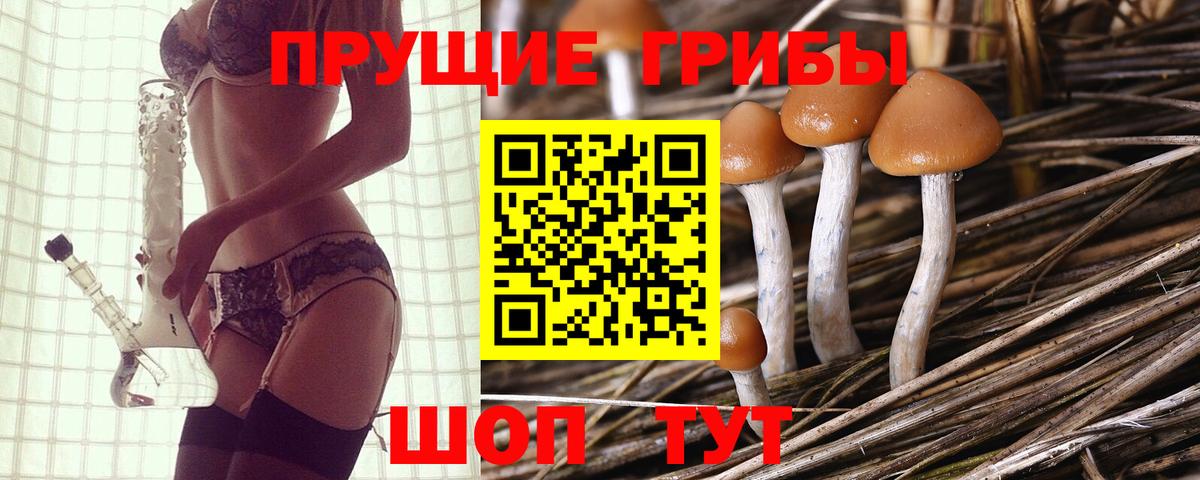 Арзамас  Галлюциногенные грибы GOLDEN TEACHER  Псилоцибиновые грибы MAGIC MUSHROOMS  Вход с VPN 